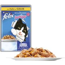5 Adet Yavru Kedi Tavuklu Pouch Mama 5X100G