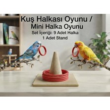 Kuş Spor Eğitim Halkaları, Kuşu Halka Oyunu Papağan Oyuncak