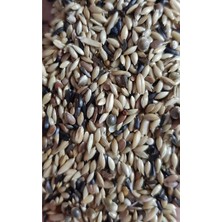 Süper Kanarya Yemi 1 kg