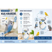 Beak’s Care Kalsiyum Destekli Gaga Taşı - Kuşu Kanarya Papağan Için Mineral ve Kemik Desteği