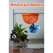 Beta Balığı Betta Dinlenme Alanı & Üretim Yuvası – Halfmoon Köpük Yuva Destekli (Renk)