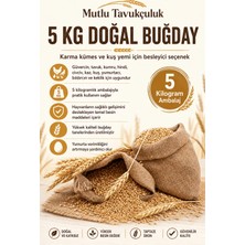 Buğday 5 kg Yem Güvercin Yemi Tavuk Kumru Hindi Civciv Kaz Kuş Yumurtacı Yumurta Bıldırcın Keklik