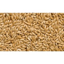 Aspur Sade Kanarya Yemi 1 kg