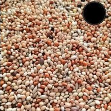 500GR Üçlü Karışım Kuş Yemi Her Kuş Için Özel Üretilmiştir Kuş Yemi Kanarya Hint Bülbülü Ödüllü Kuş