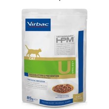 Urology Dissolution Prevention Kedi Yaş Mama 85GR