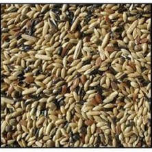 1 kg Kanarya Yemi Lüks Karışım Kanarya Kuşu Yemi