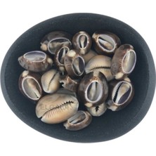 Deniz Kabuğu Midye Kabuğu 100 Gram Cyprea Caputserpentis Kesik