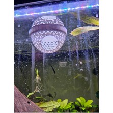 Moss Sepeti Askılı – Karides ve Betta Için Saklanma Alanı / Moss Top Tutucu
