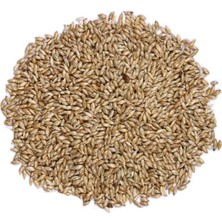 Sade Kanarya Yemi 500 gr