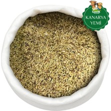 Kanarya Kuş Yemi 2 kg