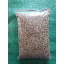 Kanarya Kuş Yemi Sade Aspur 1 kg