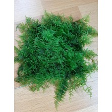 Christmas Moss Tele Sarılı 5X5CM Yeni Sarım
