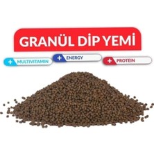 Granül Dip Yemi (3mm) 100GR (Vatoz,çöpçü,semender,,koi)
