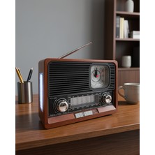 Alemdar Pazarlama Radyo USB Aux Sd Kart Bluetooth Ucznostaljikradyo2-1