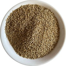 Kanarya Yemi 1 kg