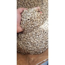 Soyulmuş Iç Çekirdek 500 gr
