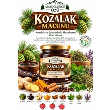 Anadolunun Özü Kozalak Macunu