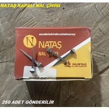 Nataş Çelik Nal Çivisi 1 Kalite At Nalı Çivisi Kapalı Nal Çivisi 250 Adet 37MM