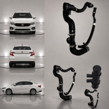 Zetoto Fiat Egea 2016-2026 Type 356 1.6 Multijet Dct Radyatör Alt Hortumu Çift Çıkışlı Rekoru