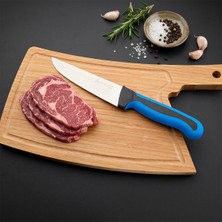 Aryıldız Plurex Et Bıçağı Mavi 16,5 cm