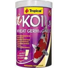 Die Grup Tropical Koi Wheat Germ ve Garlic Pellet Size S 1000 ml 320 gr