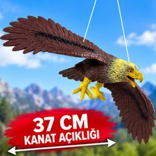 LRS Store 37 cm Kauçuk Kartal Figürü – Gerçekçi Görünümlü Açılır Kanatlı Kartal Kuş Figürü, Vahşi Hayvan Oyuncağı Soft