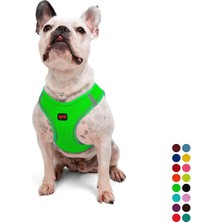 Air-Mesh Küçük ve Orta Irk Kedi Köpek Göğüs Tasması - Yumuşak, Nefes Alabilir, Dayanıklı