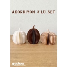 Grauhaus 3'lü Akordiyon Balkabağı Dekoratif Obje - Sonbahar & Kış Bej, Kahverengi, Beyaz