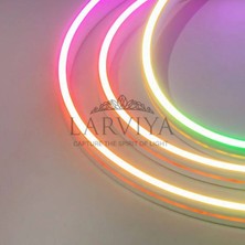 Larviya 12V Neon LED Rgb 50 M