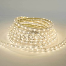 Larviya Tek Sıra Hortum Şerit LED Günışığı 100 M