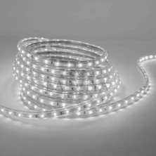 Larviya Tek Sıra Hortum Şerit LED Beyaz 100 M