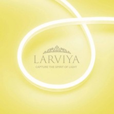 Larviya 12V Neon LED Limon Sarısı 50 M