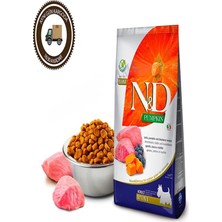 Odea Pumpkin Lamb & Blueberry Tahılsız Yetişkin Köpek Mama, Küçük Irk, 2,5 kg