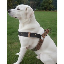 Odea Köpek Göğüs Tasması Ayarlanabilir Orta ve Büyük Irk Kolon Kordon Kamuflaj & Siyah