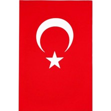 Ege Bayrak 200X300 cm Kumaş Türk Bayrağı Standart Kırmızı
