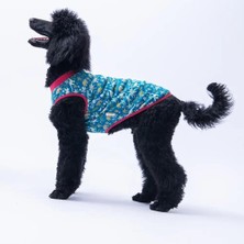 Pawstar 25851 Dino Orta-Büyük Irk Köpek T-Shirtü (5xl)