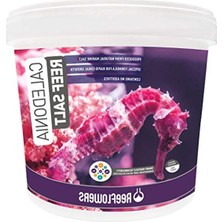 6500 gr Akvaryum Tuz Karışımı, Deniz Canlıları Için