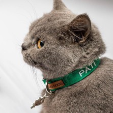 Tr Isimli Kedi Tasması Kedi Boyun Tasması Ayarlanabilir (Charm Dahil Değil) (Yeşil)