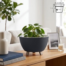 Odea Tr Sora Saksı Süzgeçli Ayaklı Delikli Plastik Aranjman Sukulent Saksısı (Antrasit, 2.2 Litre)