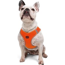 Odea Tr Air-Mesh Küçük ve Orta Irk Kedi Köpek Göğüs Tasması - Yumuşak, Nefes Alabilir, Dayanıklı (Neon-Turuncu, Large)