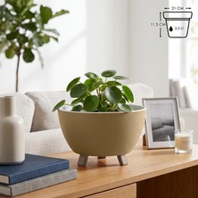 Odea Tr Sora Saksı Süzgeçli Ayaklı Delikli Plastik Aranjman Sukulent Saksısı (Sarı, 2.2 Litre)