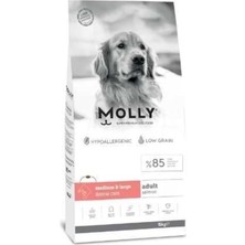 Odea Tr Orta ve Büyük Irk Yetişkin Köpek Maması, Somonlu, 15KG, Hipoalerjenik
