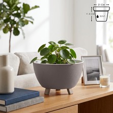 Odea Tr Sora Saksı Süzgeçli Ayaklı Delikli Plastik Aranjman Sukulent Saksısı (Kahve, 2.2 Litre)