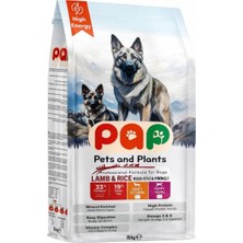 Odea Tr Yavru Köpek Maması, Kuzu Etli, 15 Kg,%33 Protein, Büyük Irk, Yüksek Enerji, Kuru Mama
