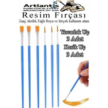 Tr Resim Fırçası Kesik ve Yuvarlak Uçlu 6 Adet Sentetik Fırça Ekonomik Suluboya Akrilik Boya G