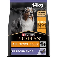 Odea Tr Protein & Energy Tüm Irk Boyutlarındaki Aktif Yetişkin Köpekler Için Tam Kuru Mama, Zengin Tavuk Eti Içeriği 14KG