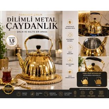 Odea Tr Dilimli Metal Çaydanlık, Paslanmaz Çelik, Altın Rengi, 1,5 Litre