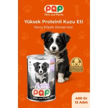Odea Tr Yavru Köpek Konservesi, Kuzu Etli, 400 Gr, 12 Adet