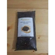 Odea Tr Kaktüs Litops Toprağı Karışımı