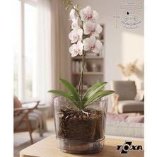 Odea Tr Pera Orkide Saksı (Gri, 2.3 Litre)